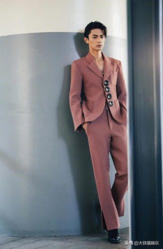 男星身高排行榜(身高190以上男明星)插图28