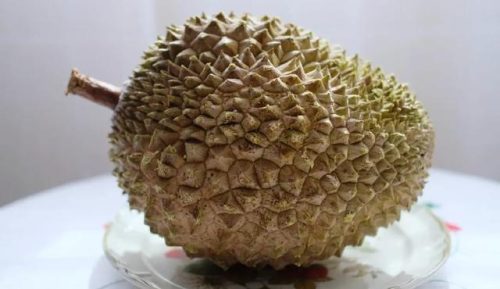 最好的榴莲品种排行榜(榴莲品种十大排名)插图9