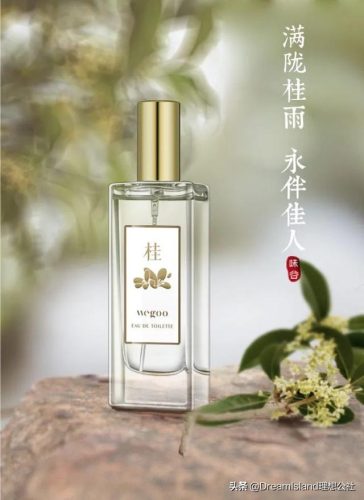 正品古风香水排名前十(50元左右的香水)插图47
