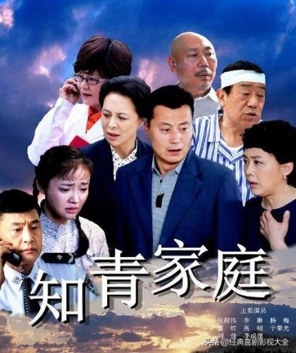 电视剧知情(知青电视剧主演表)插图5