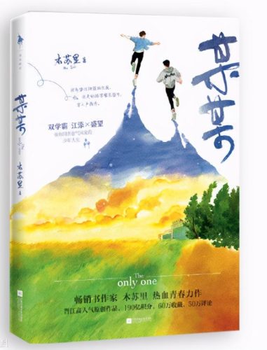 晋江文学城纯爱排行榜(晋江评分9.5以上的小说言情)插图2