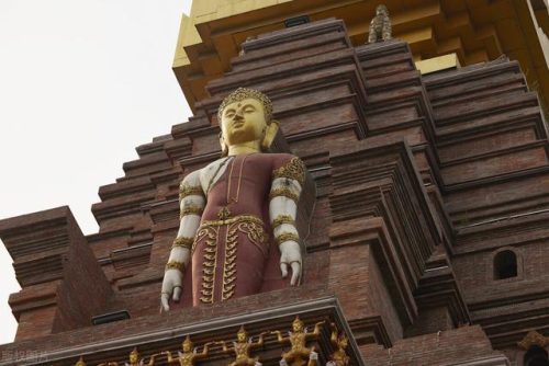 西双版纳景点排行榜(过年西双版纳旅游攻略)插图11