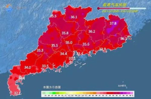 深圳 桑拿(深圳桑拿报告)插图