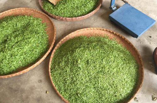 目前最贵茶叶排名前十(最贵的茶叶品种)插图7