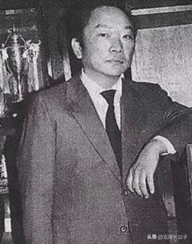 武侠十大功夫小说排行榜(武侠十大功夫排行榜)插图13