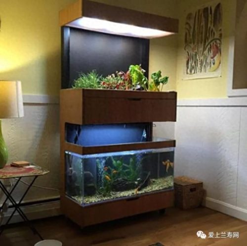 十大鱼缸品种排行榜(十大鱼缸排名前十名)插图6