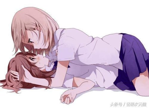 很h的gl动漫(麻袋动漫h)插图1