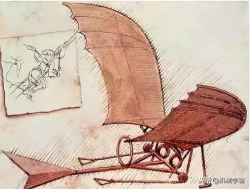 高智商排行榜(中国明星智商前10名)插图17
