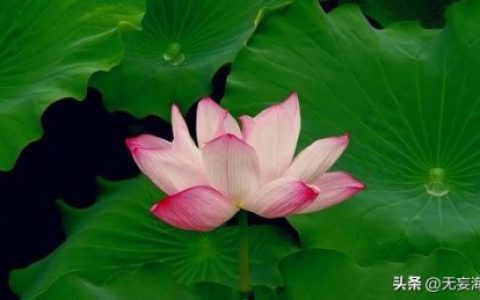 宫锁珠帘片尾曲(宫锁珠帘里面所有的歌)