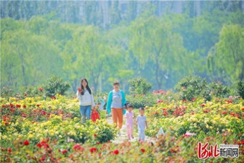 廊坊市财务审计排名前十(廊坊市资产专项审计)插图1