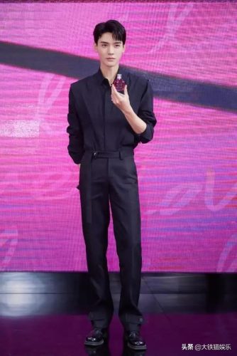 男星身高排行榜(身高190以上男明星)插图32
