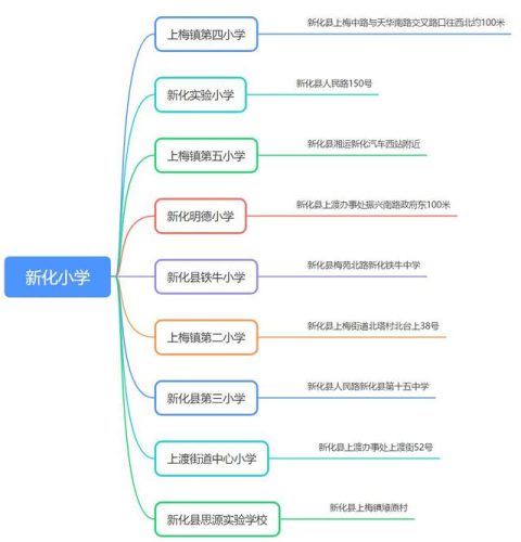 新化前十小学排名图表(新化县初中学校排名)插图1