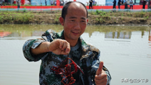 十大龙虾基地排行榜河南(河南大龙虾养殖基地)插图5