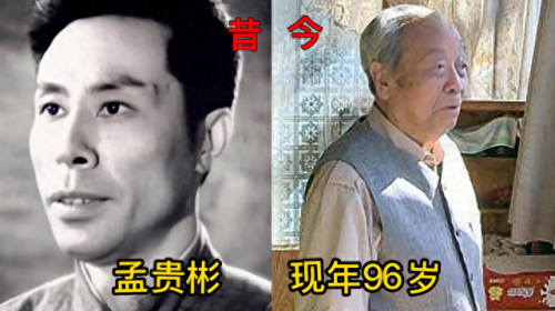 年度十大男高音演员排行榜(十大实力男演员)插图15