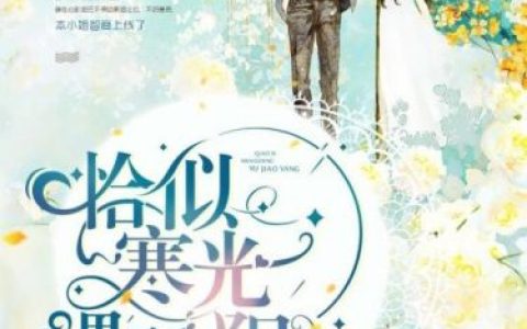 2016女生小说排行榜(玄幻小说排行榜)
