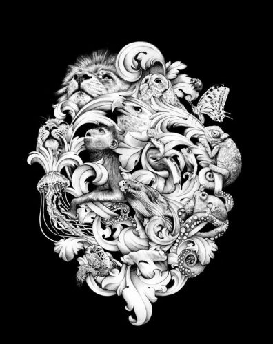 世界地区插画排名前十(国内插画公司排名)插图17