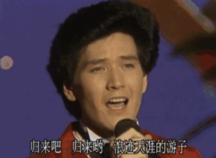 费翔的老婆(费翔与刘文正什么关系)插图51