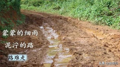 年迈的近义词是什么(慢慢近义词正确答案)插图51
