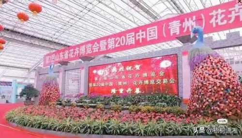 全国最全花市排名前十(医科大学全国排名)插图2