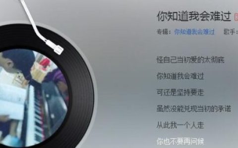 我知道你很难过歌词(是难过是孤独是什么歌)