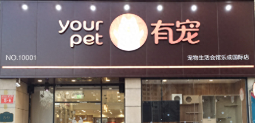 中国十大吃龟品牌排行榜(大龟哪个牌子好)插图9