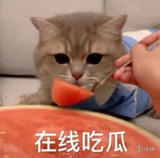 页游公司排行榜(武汉排名前十游戏公司)插图22