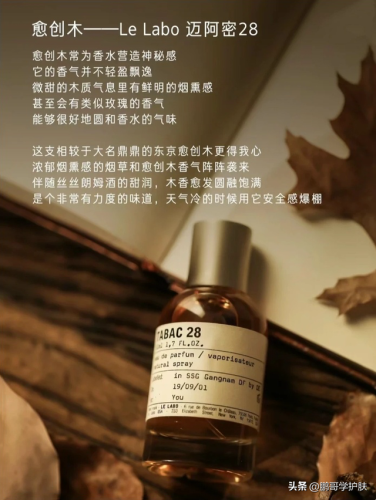 泥土味香水排行榜(小众香水品牌排行榜前十名)插图8