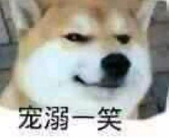 十大忠诚猛犬排行榜(十大最忠诚的狗排名)插图1