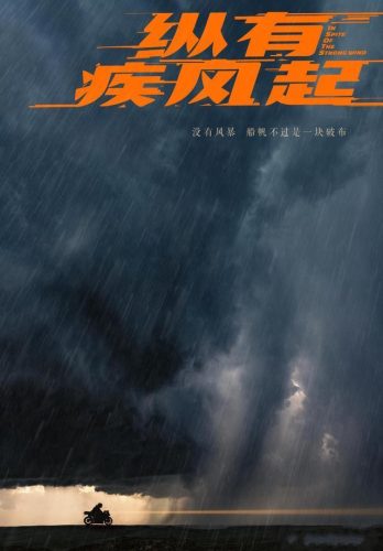 靳东最新电视剧(我的前半生2 电视剧)插图26