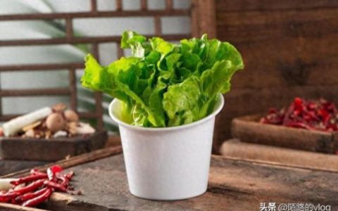 广西预制菜十大品牌排行榜(预制菜的危害性有哪些)