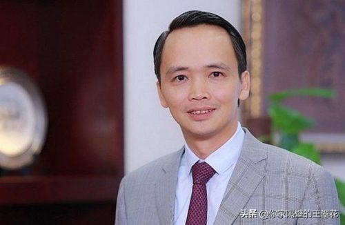 越南富豪排行榜(越南华人十大首富排名)插图5