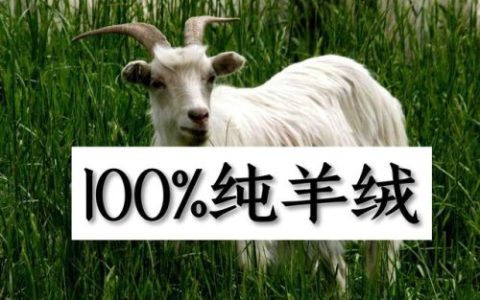 丝巾的品牌排行榜(女士十大奢侈品丝巾排行榜)