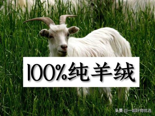 丝巾的品牌排行榜(女士十大奢侈品丝巾排行榜)插图