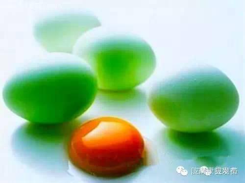 康县宾馆排名前十酒店(康县酒吧)插图49