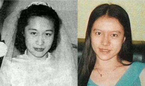 翁帆为什么嫁给杨振宁(没有翁帆杨振宁会回来吗)插图5