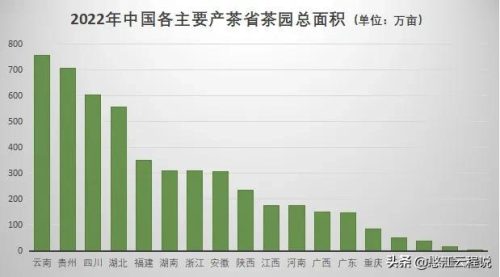 茶叶出口数量排名前十(茶叶出口最多的省份)插图1
