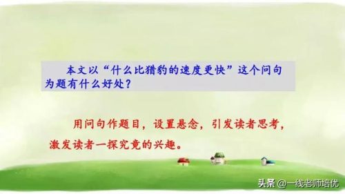 俯冲的近义词(府冲近义词是动词吗)插图23