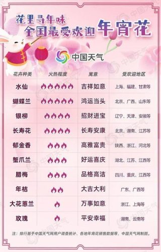 最受欢迎的花排行榜(最好看的花排名第一名)插图
