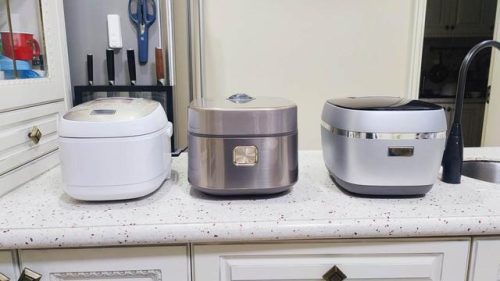 进口电饭锅品牌排行榜(世界十大品牌电饭煲)插图