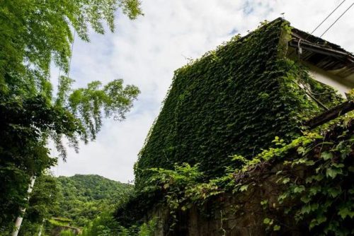 北仑区小众景点排名前十(小众旅游)插图18