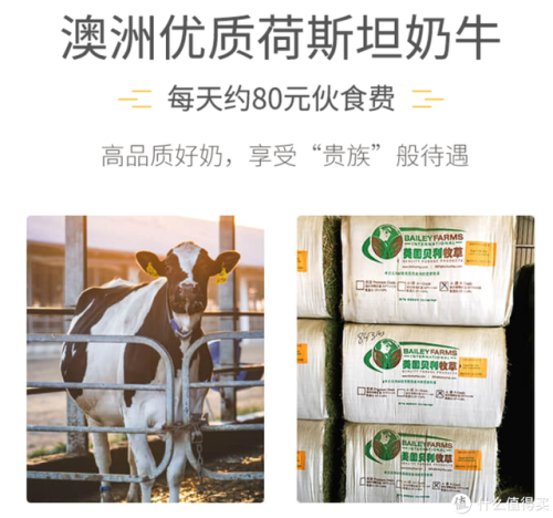 纯牛奶牌子排行榜(最好的纯牛奶排名第一)插图7