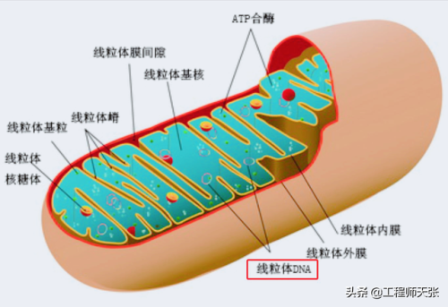 杭州杀妻案细节(杭州妻子消失案全过程)插图3