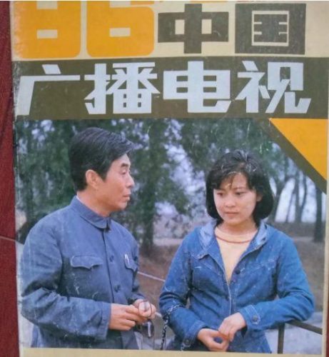 怀旧的电视剧(80年代农村电视剧100部)插图5
