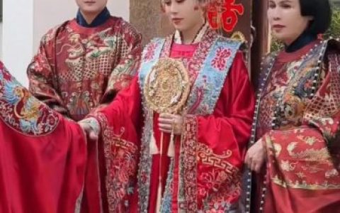 猫七七妈妈个人资料(猫七七有几个孩子)