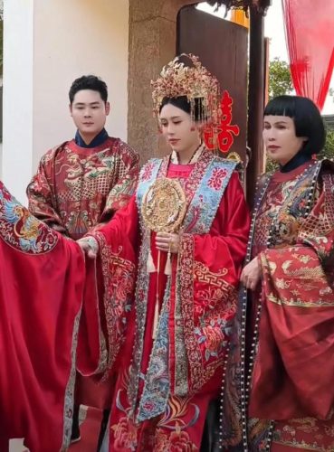 猫七七妈妈个人资料(猫七七有几个孩子)插图