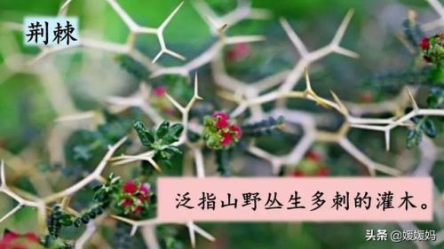 年迈的近义词是什么(慢慢近义词正确答案)插图61