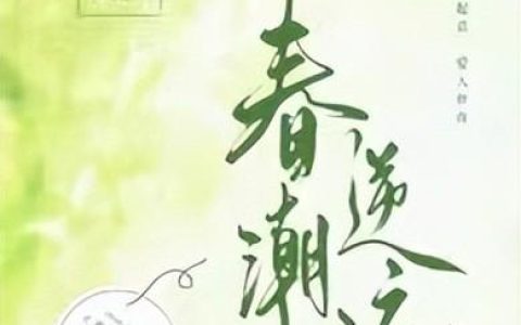 逆流小说排行榜(重生之逆流人生 小说)