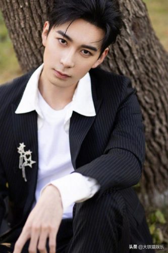 男星身高排行榜(身高190以上男明星)插图33