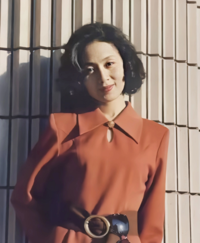 马兰结过几次婚(马兰简历)插图12