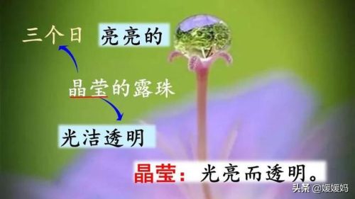 年迈的近义词是什么(慢慢近义词正确答案)插图62